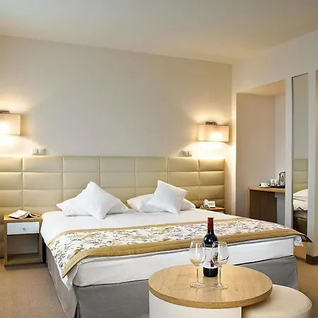 Petropol Hotel Plock