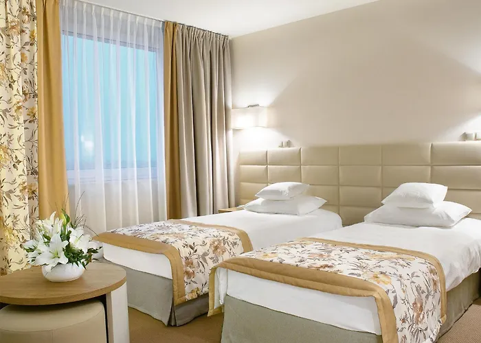 Petropol 호텔 프우크