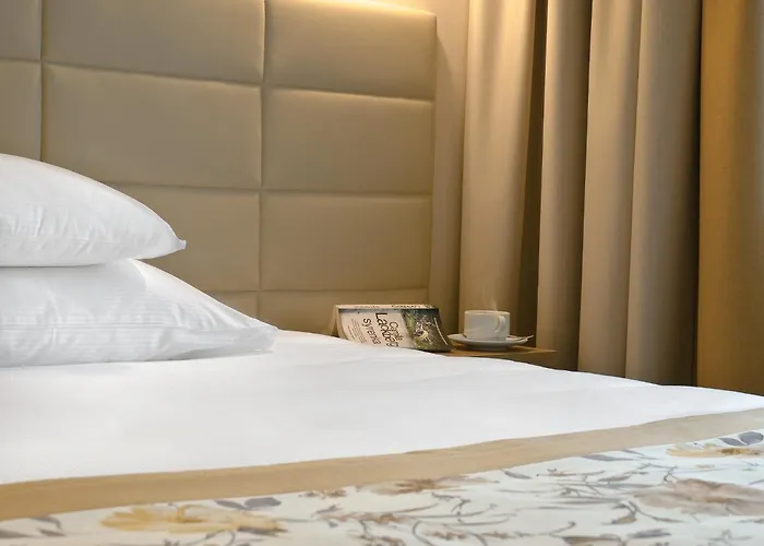 Hotel Petropol Płock